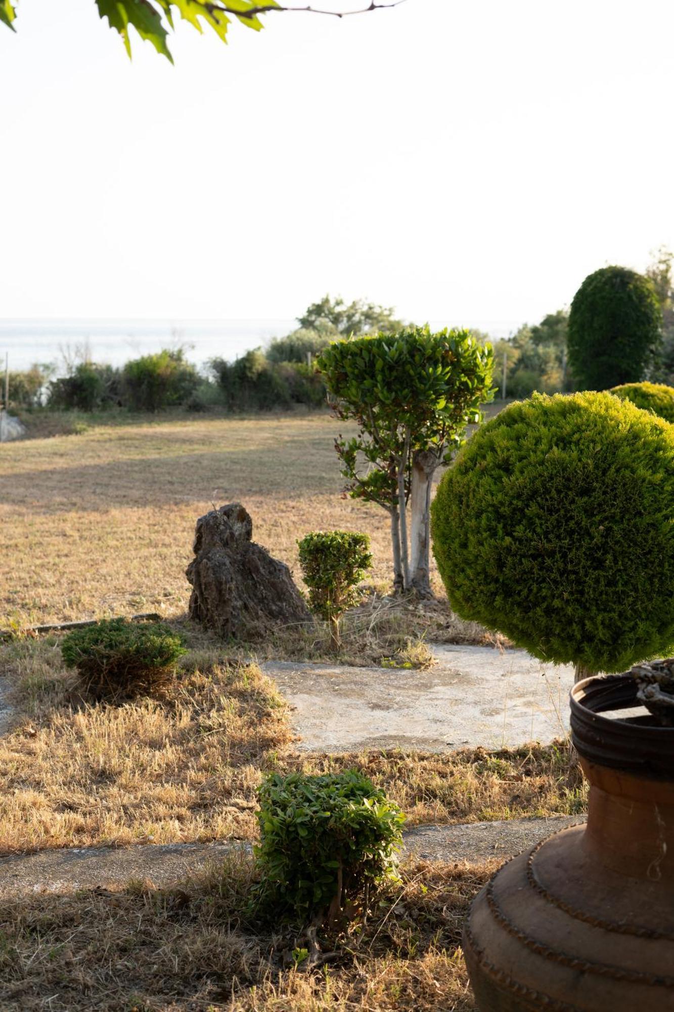 Anestaki By The Sea