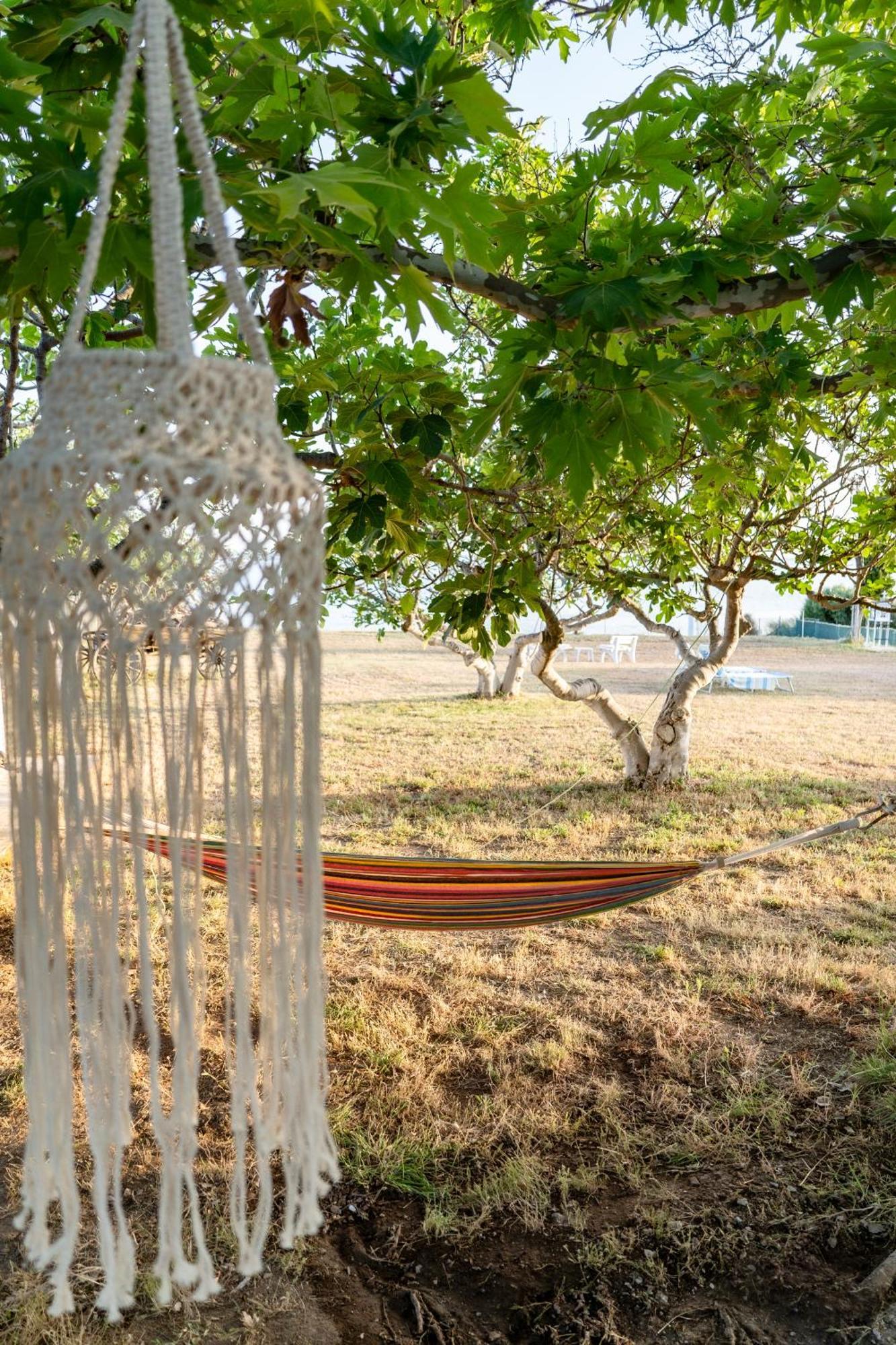 Anestaki By The Sea *